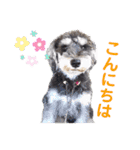 POLOくん（個別スタンプ：4）