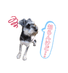 POLOくん（個別スタンプ：5）