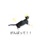うちの猫 三銃士（個別スタンプ：1）