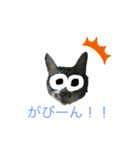 うちの猫 三銃士（個別スタンプ：2）