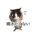 ちいともう2（個別スタンプ：5）
