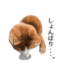 ちいともう2（個別スタンプ：6）