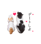 ちいともう2（個別スタンプ：7）