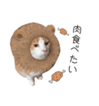 ちいともう2（個別スタンプ：8）