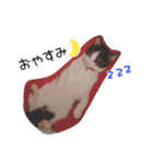 ちいともう2（個別スタンプ：9）