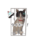ちいともう2（個別スタンプ：10）