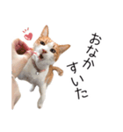 ちいともう2（個別スタンプ：11）