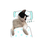ちいともう2（個別スタンプ：12）