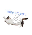 ちいともう2（個別スタンプ：14）