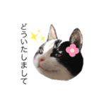 ちいともう2（個別スタンプ：16）