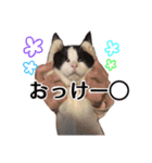 ちい＆もうスタンプ（個別スタンプ：2）