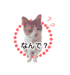 ちい＆もうスタンプ（個別スタンプ：6）