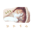 ちい＆もうスタンプ（個別スタンプ：9）