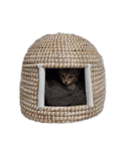 キジトラミューのスタンプ（個別スタンプ：31）