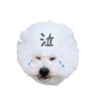 中島ポムです。（個別スタンプ：4）
