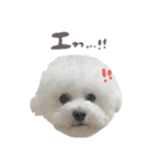 中島ポムです。（個別スタンプ：6）