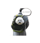 中島ポムです。（個別スタンプ：14）