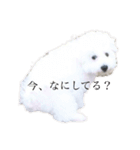 中島ポムです。（個別スタンプ：16）