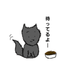 カウンター焼肉かるび！（個別スタンプ：14）