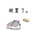 もっちり動物。（個別スタンプ：13）