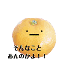太陽が出ないと枯れちまうよ3（個別スタンプ：6）