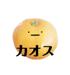 太陽が出ないと枯れちまうよ3（個別スタンプ：7）
