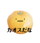 太陽が出ないと枯れちまうよ3（個別スタンプ：8）