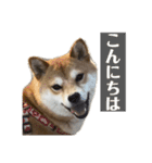 ながね家③（個別スタンプ：39）