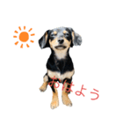 ルウの日常((1)）（個別スタンプ：2）