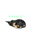 ルウの日常((1)）（個別スタンプ：6）