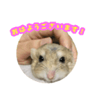 オブトアレチネズミ ききょうのスタンプ（個別スタンプ：2）