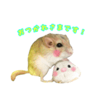 オブトアレチネズミ ききょうのスタンプ（個別スタンプ：4）