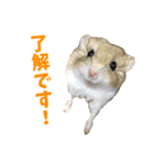 オブトアレチネズミ ききょうのスタンプ（個別スタンプ：6）
