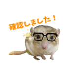オブトアレチネズミ ききょうのスタンプ（個別スタンプ：7）
