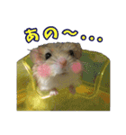 オブトアレチネズミ ききょうのスタンプ（個別スタンプ：9）