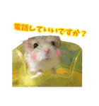 オブトアレチネズミ ききょうのスタンプ（個別スタンプ：12）