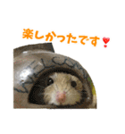 オブトアレチネズミ ききょうのスタンプ（個別スタンプ：14）