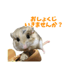 オブトアレチネズミ ききょうのスタンプ（個別スタンプ：19）