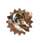 ラフコリーShikibu part4（個別スタンプ：8）