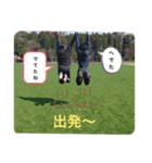 ヤバみ14スタンプ（個別スタンプ：16）