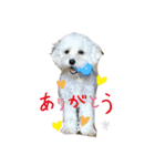 レイチ  Leite（個別スタンプ：1）