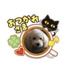 レイチ  Leite（個別スタンプ：4）