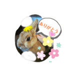 幸せメープル（個別スタンプ：1）