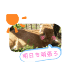 幸せメープル（個別スタンプ：2）