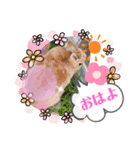 幸せメープル（個別スタンプ：4）