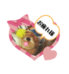 幸せメープル（個別スタンプ：5）