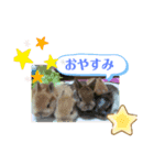 幸せメープル（個別スタンプ：6）
