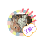 幸せメープル（個別スタンプ：7）