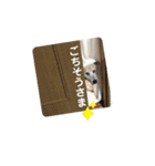 しろたびちゃんスタンプ♡（個別スタンプ：2）