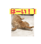 うにくんのスタンプ♡（個別スタンプ：8）
